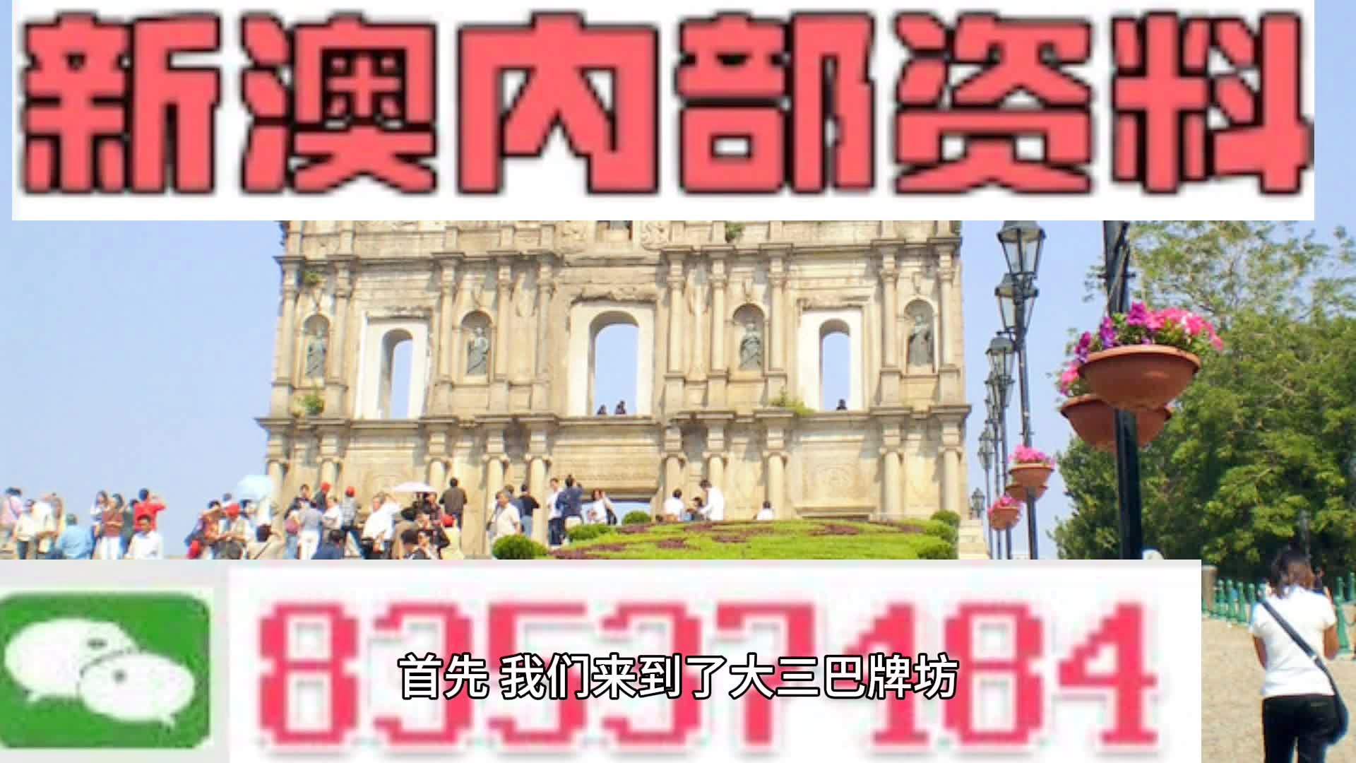 2025新澳门最精准免费大全与2032释义解释落实