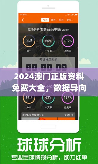 婆家一肖一码100，构建解答解释落实的智慧与策略