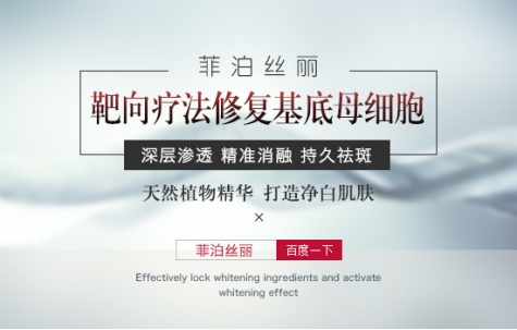 2025-2024全年一肖一码一中一特，精选解析、解释与落实