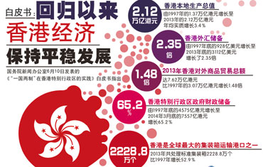 2025-2024全年澳门正版精准免费资料，精选解析与落实策略