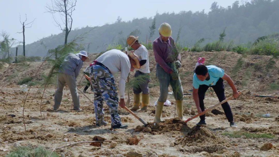 广东省和平村，传统与现代的和谐共生