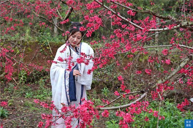 广东省有桃花岛，探寻岭南秘境中的浪漫桃源