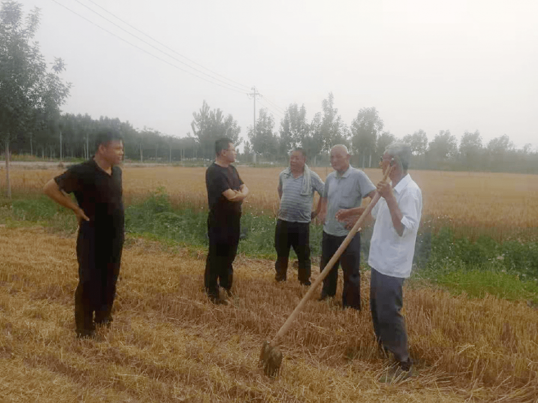 广东省钢筋隐蔽记录，建筑安全的隐形守护者