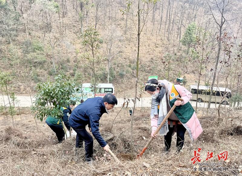 江苏万鑫电力科技，创新驱动，引领电力行业新未来