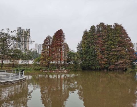 广东省天河区游玩攻略