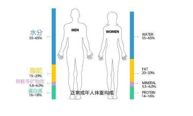 减肥两个月能瘦多少，科学、健康与个体差异的探讨