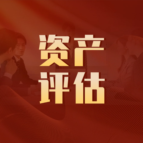 广东资产评估有限公司，专业、公正、高效的资产价值守护者