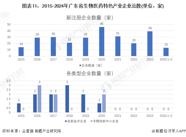 广东省大专生人数，现状、挑战与机遇